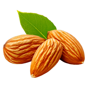 Bougie-parfumee-amande-fraiche-flamme-de-vignes