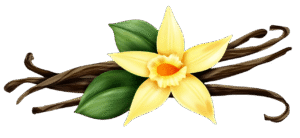 Bougie-parfumee-vanille-flamme-de-vignes