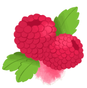 bougie-pafumée-framboise-flamme-de-vignes