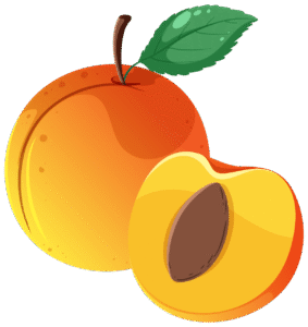 bougie parfumee abricot flamme de vignes