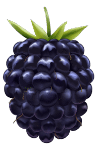  bougie-parfumée-mûre-flamme-de-vignes.