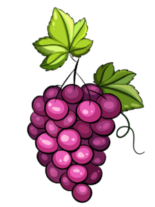 bougie-parfumee-raisin-flamme-de-vignes