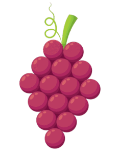 bougie-parfumée-raisin-rouge-flamme-de-vignes