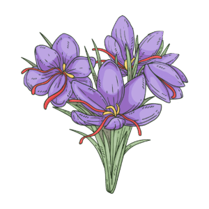 bougie-parfumée-violette-flamme-de-vignes